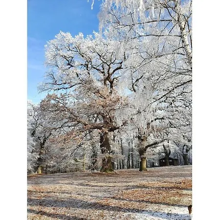 With 2 Bedrooms Hébergement de vacances *