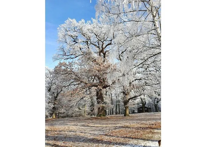 With 2 Bedrooms Hébergement de vacances *